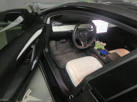 [上海·沪A] 二手特斯拉Model 32021款 改款 标准续航后驱升级版 3D1