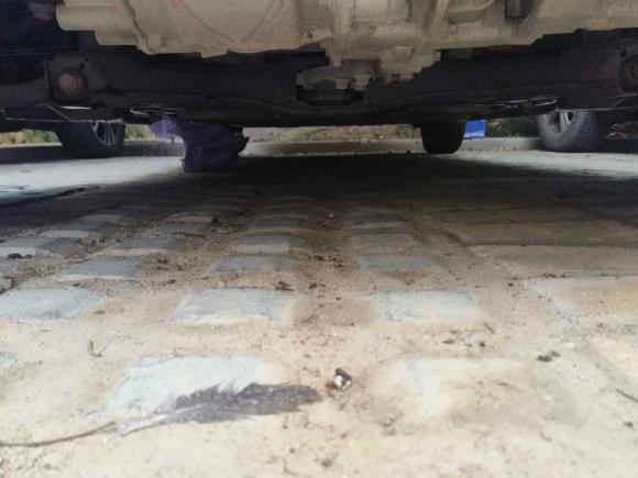 [合肥·皖A] 二手欧拉欧拉黑猫2019款 351km 亲子版