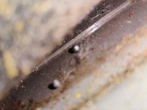 [上海·沪D] 二手别克别克GL82017款 25S 豪华型 国V