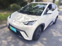 [无锡·苏B]比亚迪&nbsp;&nbsp;海鸥&nbsp;&nbsp;2025款 305km 活力版