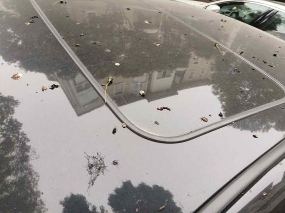 [武汉·鄂A] 二手丰田凯美瑞2008款 200G 豪华版