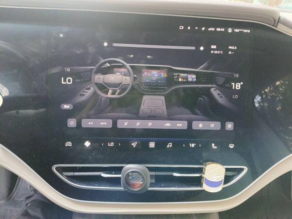 [上海·沪A] 二手飞凡汽车飞凡F72023款 长续Pro版