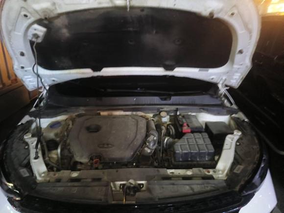 [嘉兴·浙F] 二手奇瑞艾瑞泽GX2018款 1.5T 手动型色版 国V