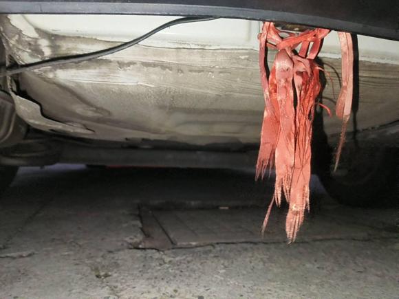 [嘉兴·浙F] 二手大众速腾2012款 1.6L 手动舒适型