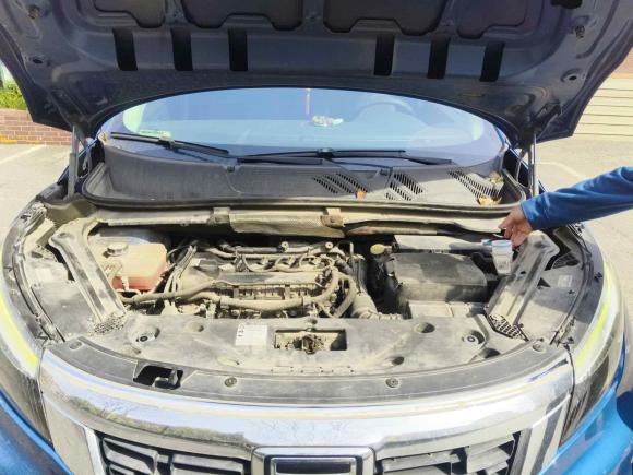 [上海·沪C] 二手观致观致52016款 1.6T 手动舒适型