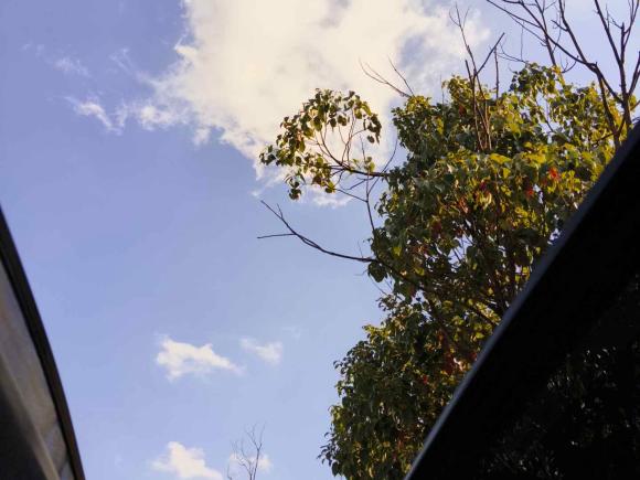 [上海·沪A] 二手腾势腾势X2020款 PHEV旗舰版