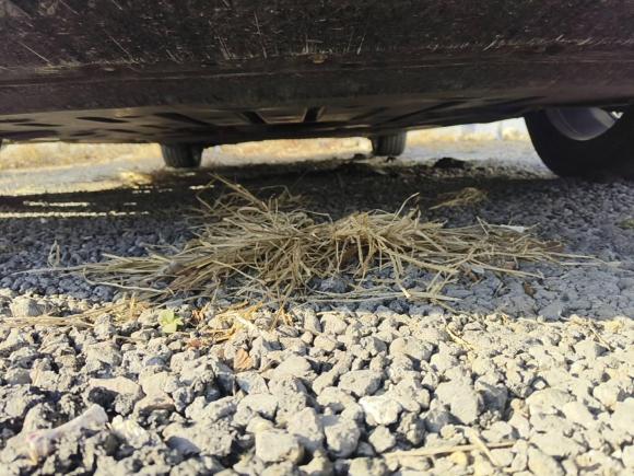 [青岛·鲁B] 二手比亚迪海豹2023款 DM-i 1.5L 121km 尊贵型