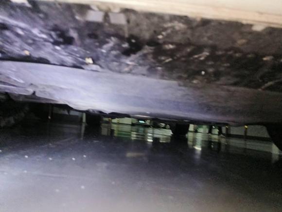 [青岛·鲁B] 二手奥迪奥迪A4L2020款 40 TFSI 豪华动感型