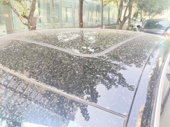 [西安·陕A] 二手比亚迪汉2023款 EV 冠军版 605KM前驱尊贵型