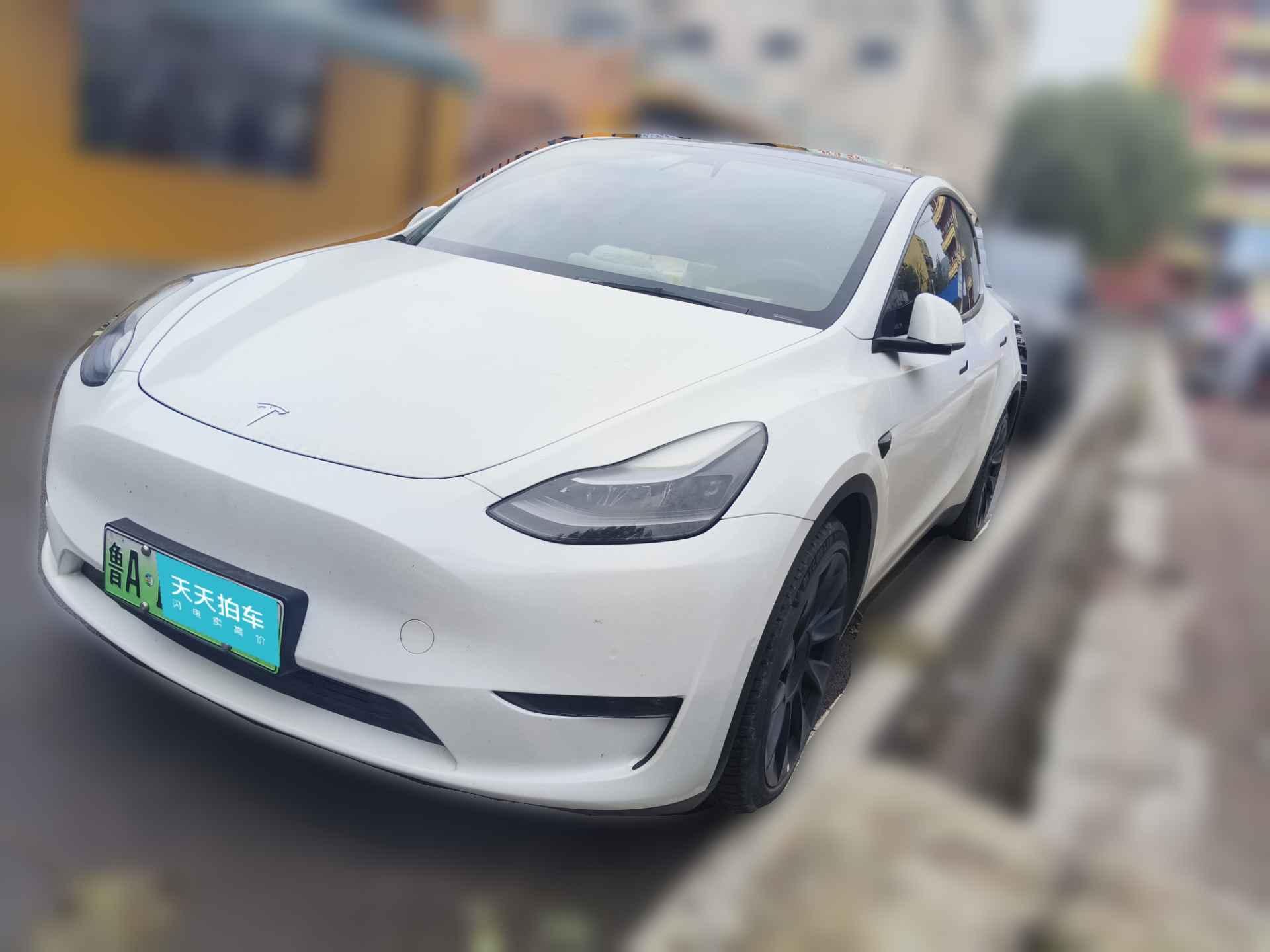 [济南·鲁A] 特斯拉Model Y2022款 后轮驱动版