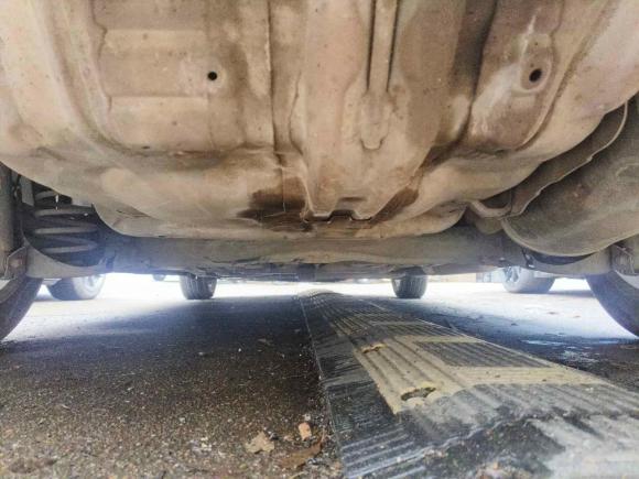 [义乌·浙G] 二手本田锋范经典2011款 1.5L 自动精英品致版