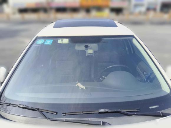 [嘉兴·浙F] 二手大众朗逸2017款 1.6L 手动舒适版