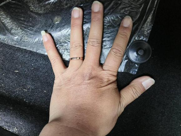 [合肥·皖A] 二手东风风神东风风神E702023款 PRO 智行版