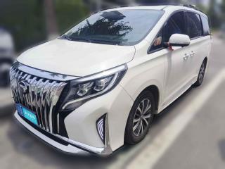 广汽传祺传祺M82021款 领秀系列 390T 尊享版