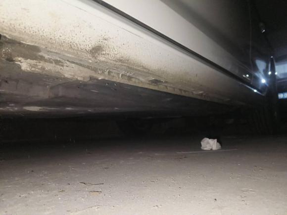 [宁波·浙B] 二手大众高尔夫2019款 280TSI DSG舒适型 国V