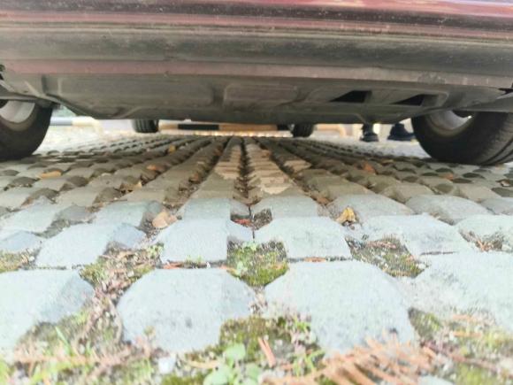 [嘉兴·浙F] 二手大众朗逸2013款 1.6L 自动风尚版