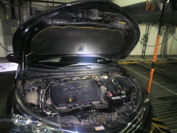 [杭州·浙A] 二手丰田卡罗拉2014款 1.6L CVT GL