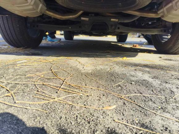 [苏州·粤V] 二手奇瑞瑞虎8 PRO2022款 290T 两驱天穹版 5座