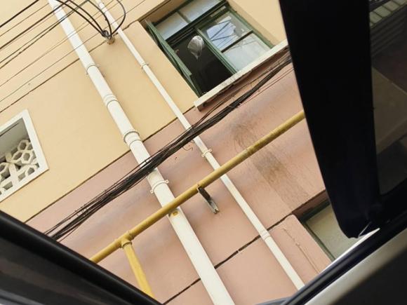 [上海·沪A] 二手斯柯达柯迪亚克2019款 TSI330 7座两驱豪华优享版 国V