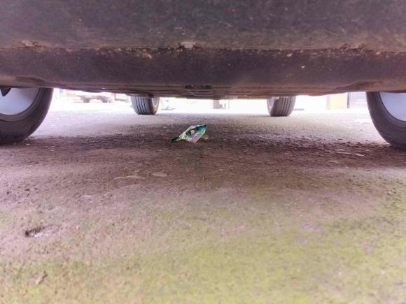 [金华·浙G] 二手领克领克06 EM-P2023款 1.5T Remix PHEV Pro