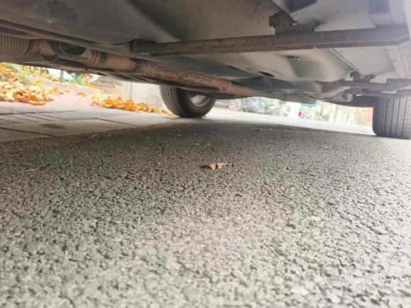 [南京·苏A] 二手Jeep自由光2014款 2.4L 都市版