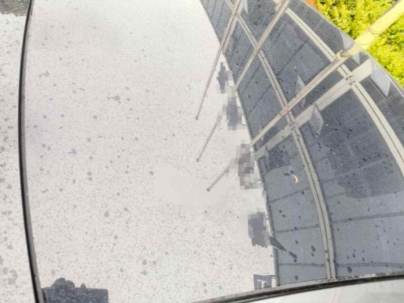 [上海·沪E] 二手长安长安UNI-V2022款 1.5T 运动版