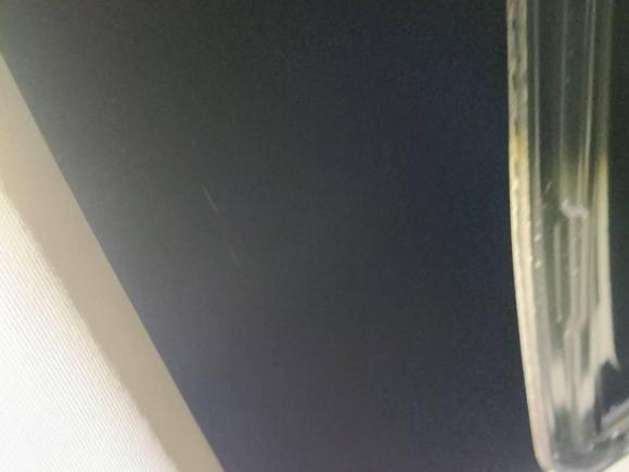 [武汉·鄂A] 二手福特福睿斯2015款 1.5L 自动时尚型