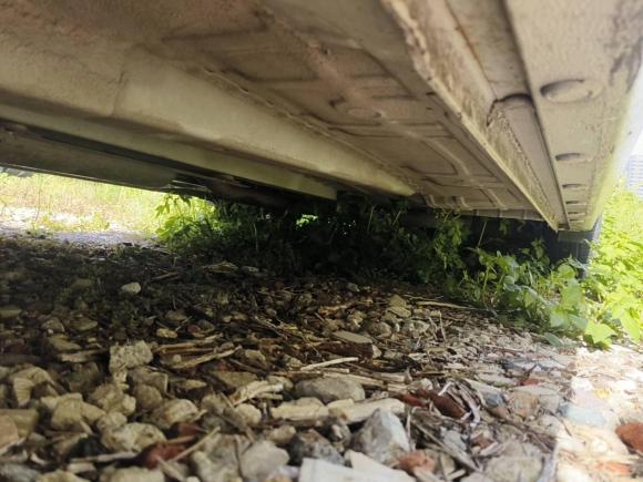 [温州·浙C] 二手雪佛兰赛欧2015款 赛欧3 1.5L 手动理想天窗版