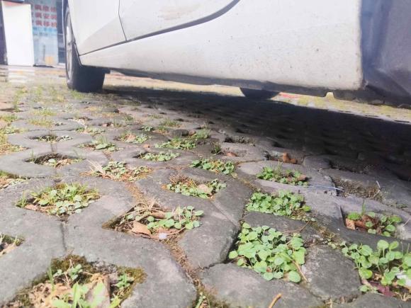 [苏州·苏E] 二手雪佛兰科沃兹2019款 325T 双离合欣悦版