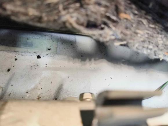 [西安·陕U] 二手奔腾奔腾X402019款 1.6L 手动豪华型 国VI