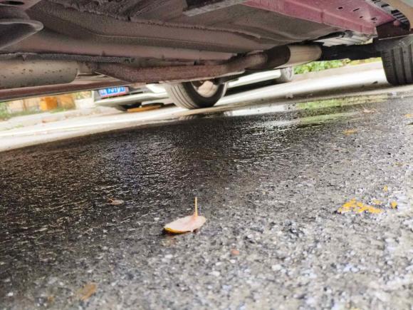 [杭州·浙A] 二手福特翼虎2013款 1.6L GTDi 两驱风尚型