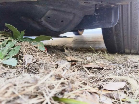 [杭州·豫A] 二手起亚智跑2014款 2.0L 自动两驱版Premium