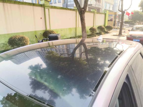 [杭州·浙A] 二手比亚迪海豚2023款 420km 时尚版