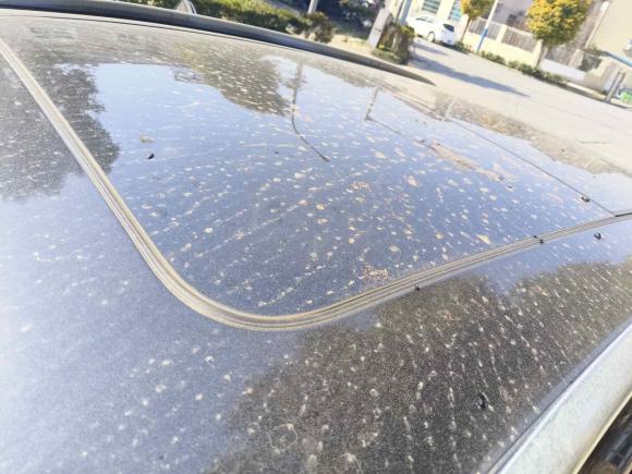 [常州·苏D] 二手奥迪奥迪Q52015款 40 TFSI 技术型