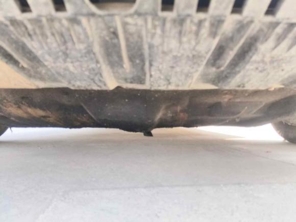 [合肥·豫N] 二手福特福睿斯2019款 1.5L 自动质享型