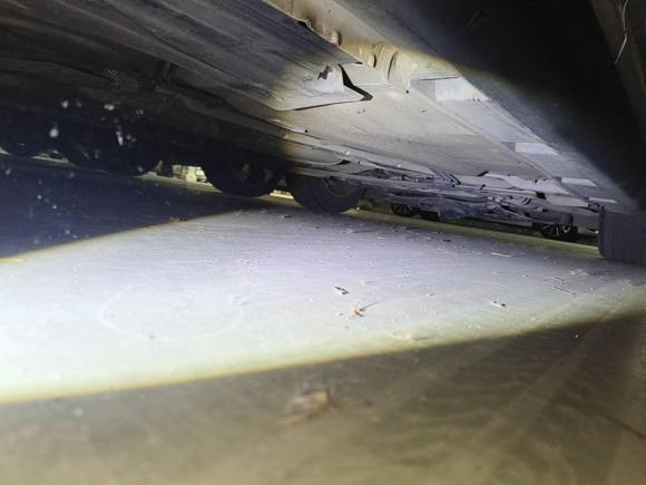 [杭州·浙B] 二手福特福克斯2012款 两厢 1.6L 手动风尚型