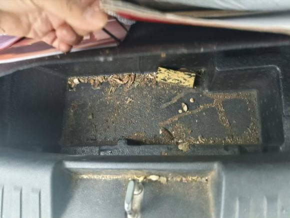 [金华·浙G] 二手北汽新能源北汽新能源EC32019款 灵动版