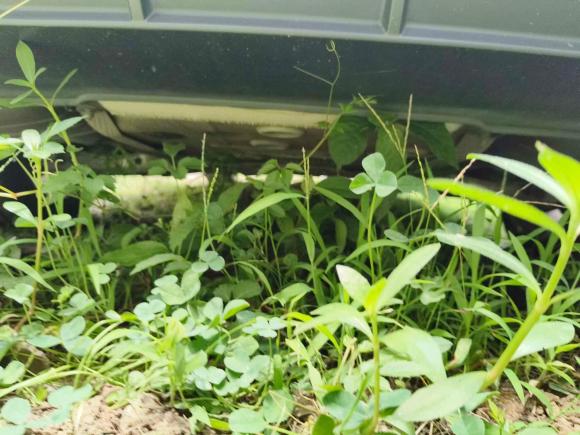 [苏州·苏U] 二手奥迪奥迪A4L2019款 40 TFSI 时尚型 国V