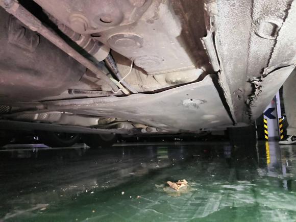 [成都·川A] 二手大众速腾2015款 230TSI 自动舒适型