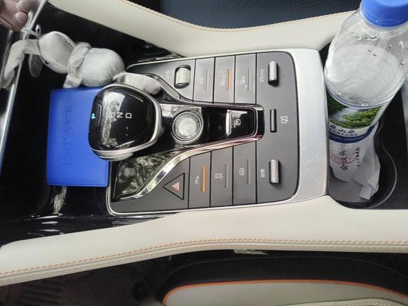 [上海·沪A] 二手比亚迪宋PLUS新能源2021款 EV 尊贵型