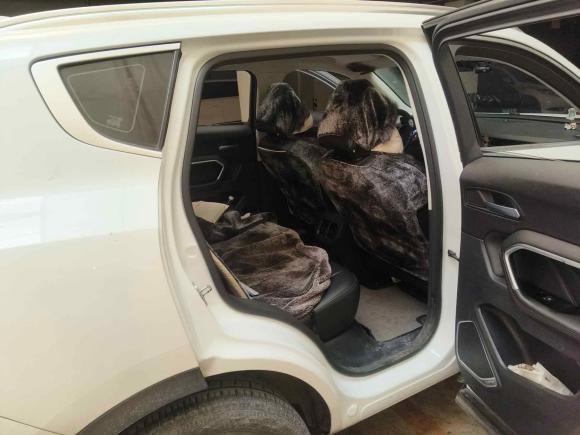 [武汉·鄂A] 二手哈弗哈弗H62018款 红标 1.5T 自动超豪型