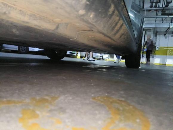 [上海·浙D] 二手MINIMINI2007款 1.6L COOPER Excitement