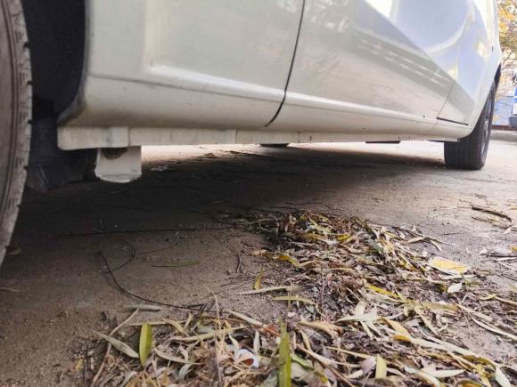 [青岛·鲁B] 二手奔驰威霆2018款 2.0T 精英版 7座 国VI