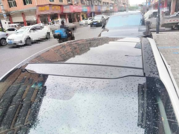 [义乌·浙G] 二手起亚起亚K52015款 2.0L 自动LUX