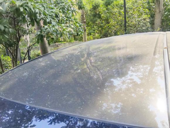 [杭州·浙A] 二手别克别克GL82021款 陆上公务舱 652T 舒适型