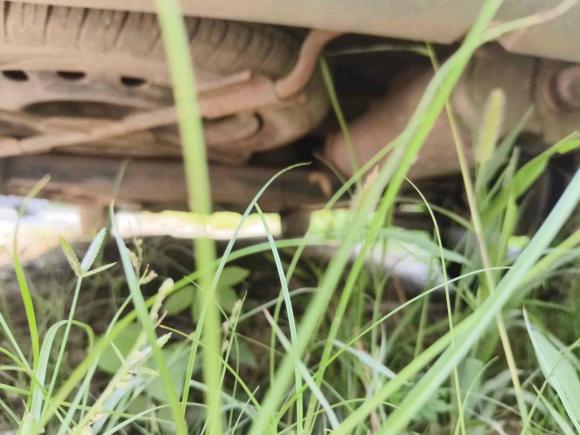 [广州·湘D] 二手开瑞开瑞K602017款 1.5L 手动旗舰型