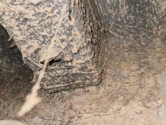 [深圳·粤L] 二手奔腾奔腾B702023款 第三代 1.5T 自动畅享型