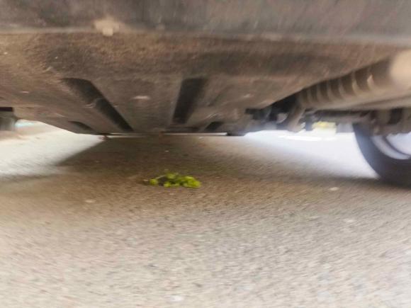 [上海·沪A] 二手别克VELITE 52017款 时尚增程型