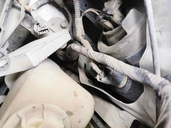 [温州·浙C] 二手本田奥德赛2008款 2.4L 豪华版