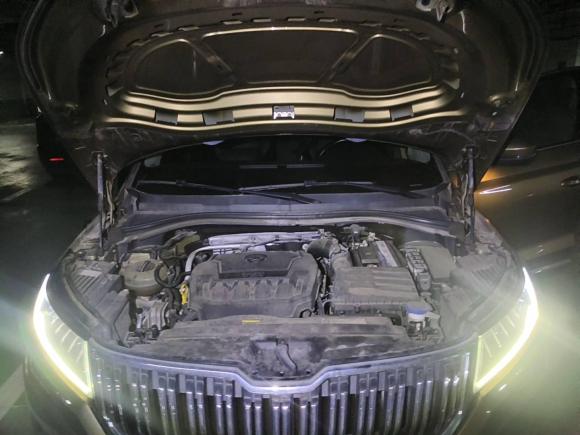 [上海·浙G] 二手斯柯达柯迪亚克2018款 改款 TSI330 7座两驱豪华优享版